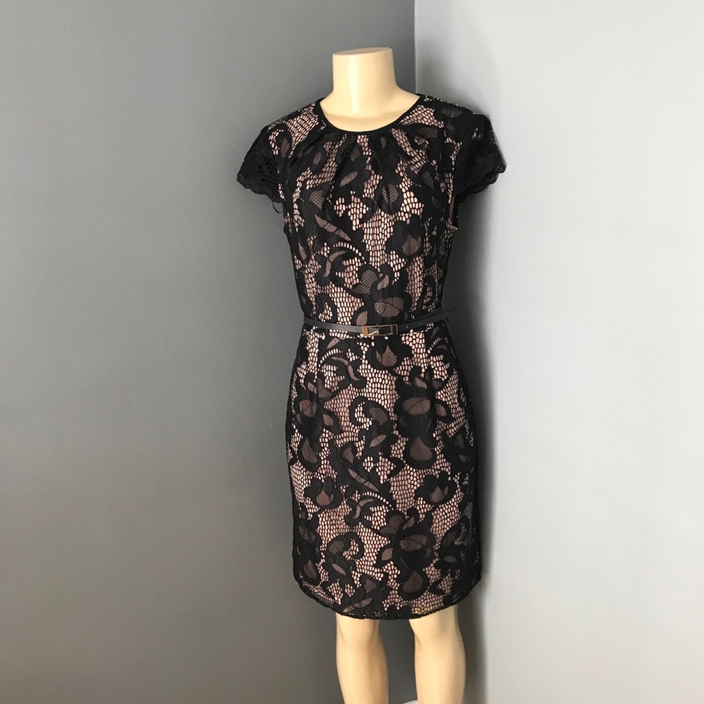 Sandra Darren lace belted dress size 8